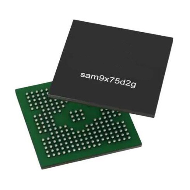 SAM9X75D2G-I/4TB